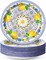 80 Pack Capri Lemon Paper Plates Set 9 in Blue Tiles (Multicolor)